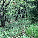 La Casa Nel Bosco - Brione Ferienhaus Brione (Brescia)