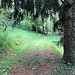 La Casa Nel Bosco - Brione * Brione (Brescia)