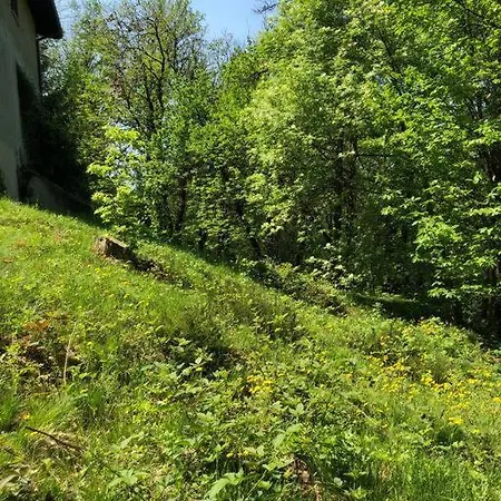 La Casa Nel Bosco - Brione Brione (Brescia)