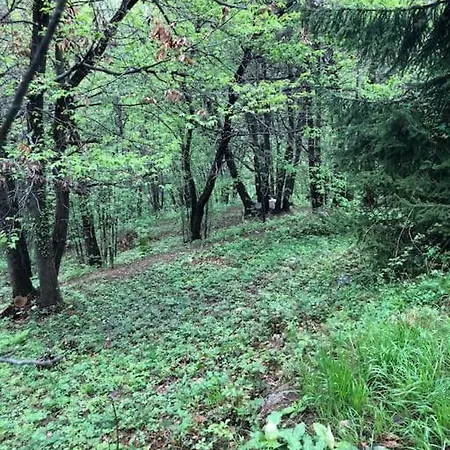 La Casa Nel Bosco - Brione Tatil Evi Brione (Brescia)