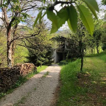 La Casa Nel Bosco - Brione