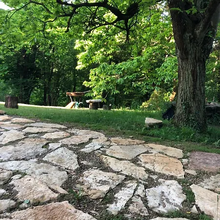 La Casa Nel Bosco - Brione